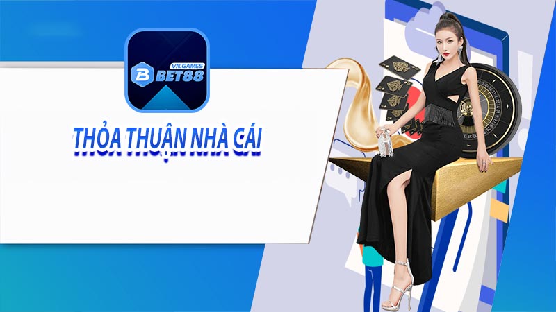 Nhà cái thỏa thuận về các điều khoản sử dụng dịch vụ