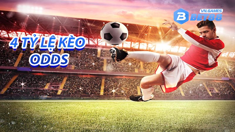 4 loại tỷ lệ kèo odds phổ biến