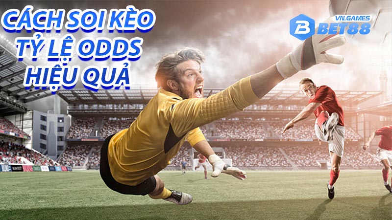 Cách soi tỷ lệ kèo odds hiệu quả